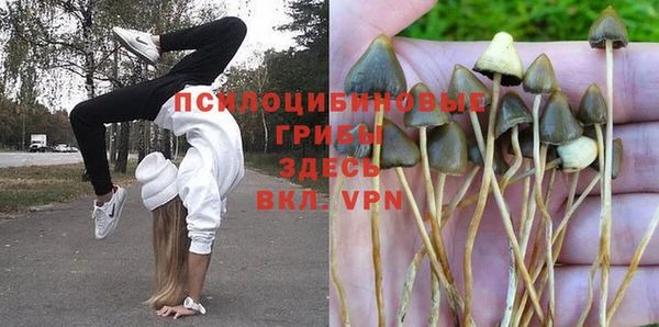 метадон Ростов