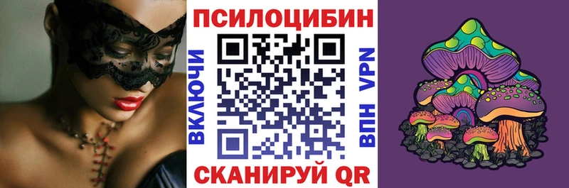 ссылка на мегу ссылки  Сергач  Псилоцибиновые грибы мицелий 